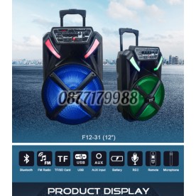 ПОРТАТИВНА КАРАОКЕ СИСТЕМА TEMEISHENG FEIYANG 12 ИНЧА F1231 ТОНКОЛОНА С МИКРОФОНИ - USB/BLUETOOTH/TF/REMOTE И ДРУГИ