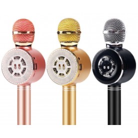 Безжичен микрофон с  вградени тонколони WS-669